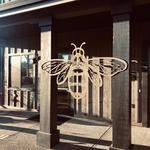 Honig Vineyard & Winery