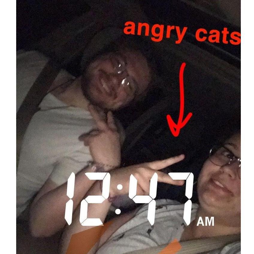 When Alex's family moved down to Florida, we helped by packing up their two cats and driving them for 20 hours all the way to their new house