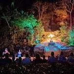 Rhythms of the Night