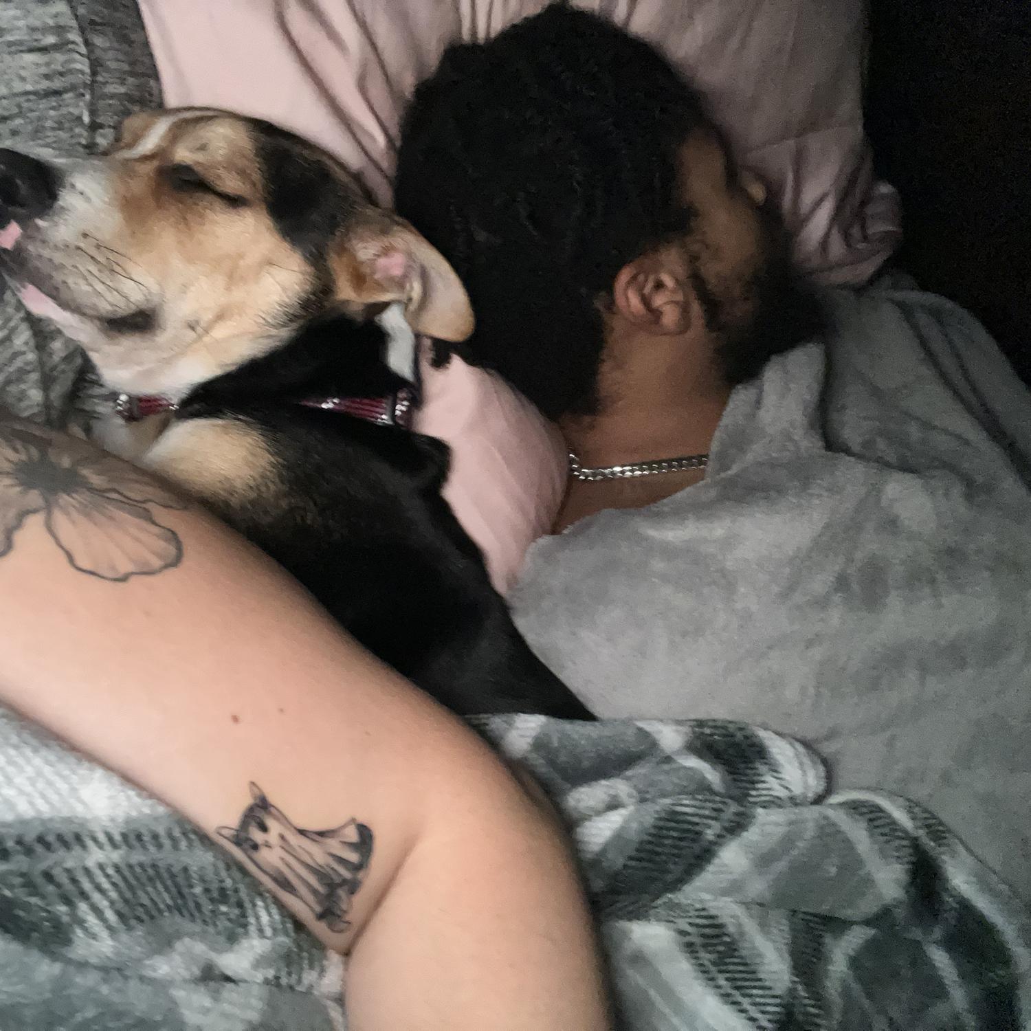 always knocked out with jax