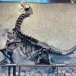 Dinosaur National Monument