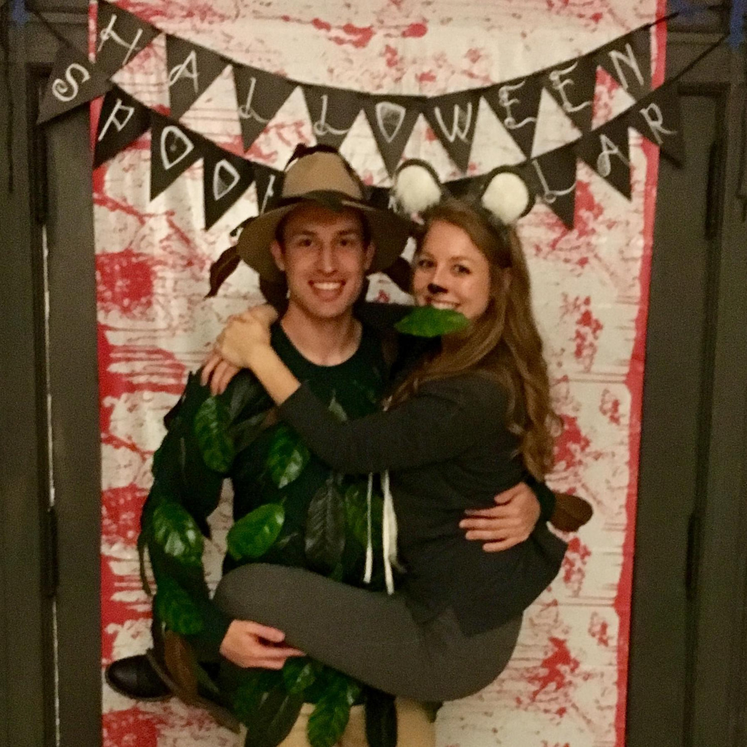 Halloween 2016 - Koala and a Tree!