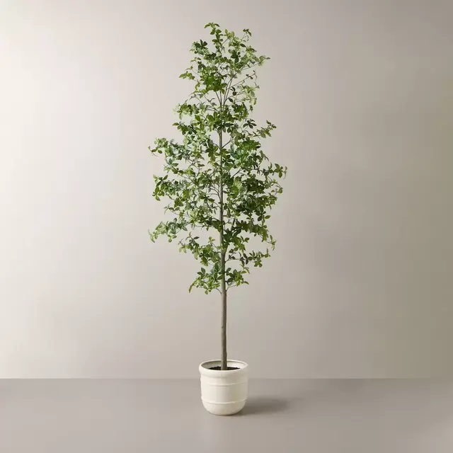 8' Faux Gypsophila Leaf Potted Tree - Hearth & Hand™ with Magnolia