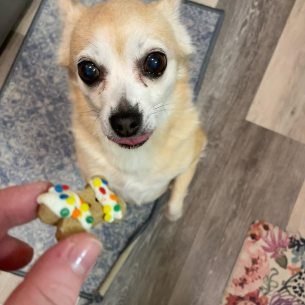 Year's Supply Of Pet Treats