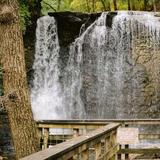 Hayden Falls Park