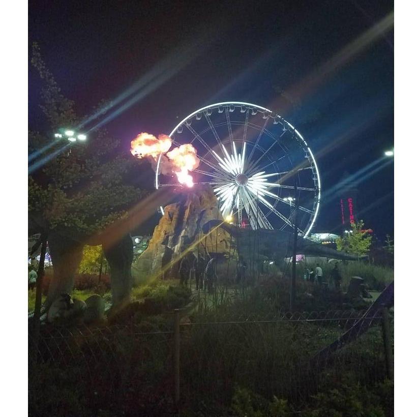 Leon Proposed at the top of the Sky Wheel.