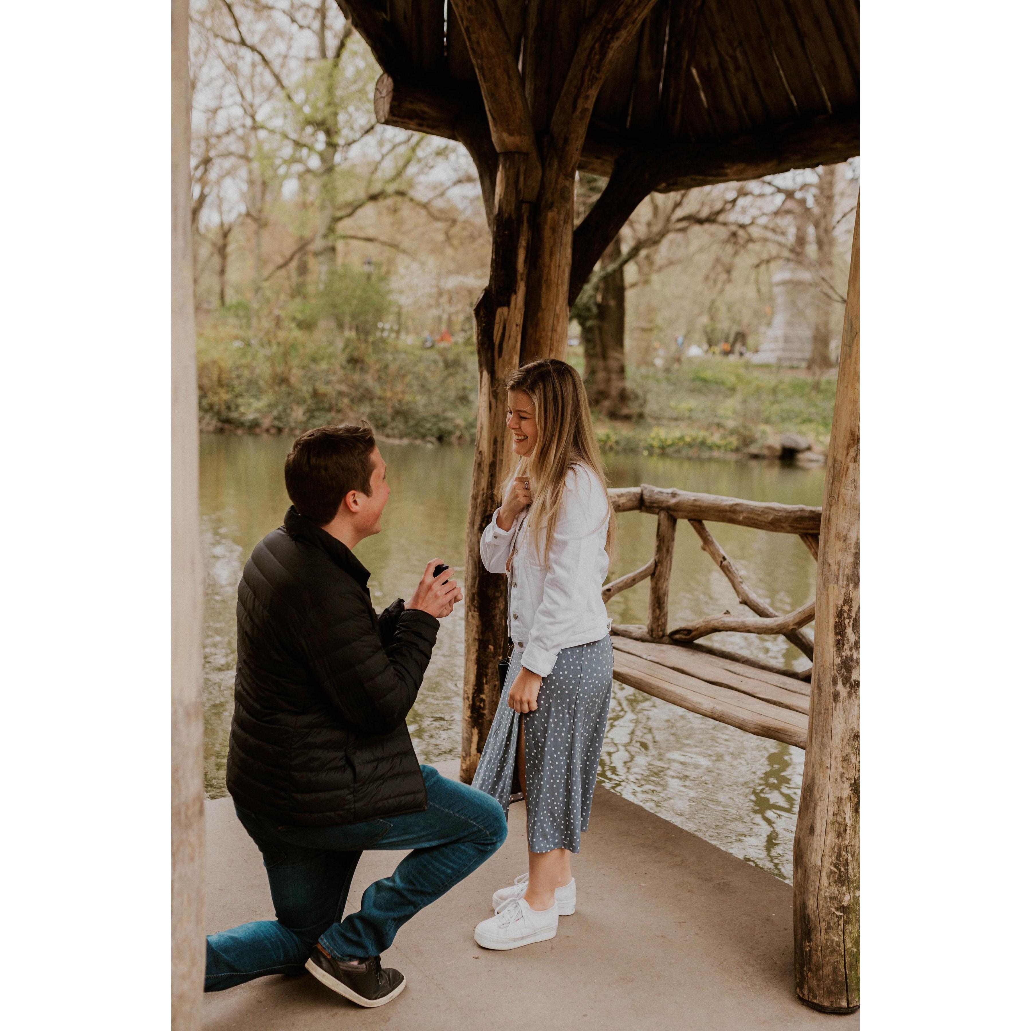 The proposal!! 04-18-2021