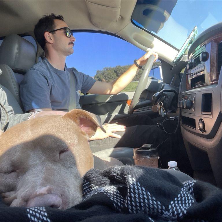 January 2022: Kona's adoption day! She loves riding in her dad's truck.