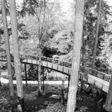 Leach Botanical Garden