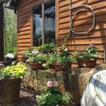 Bittersweet Cafe