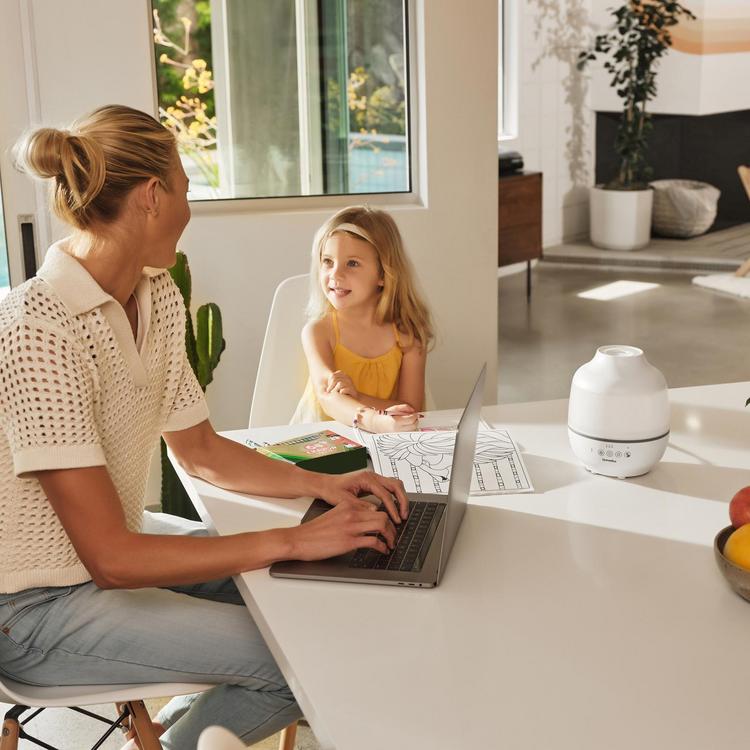 HoMedics, Total Comfort Cool Mist Ultrasonic Humidifier | Zola