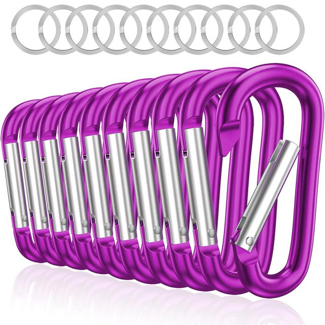 sprookber 3" Aluminum Carabiner D Ring, Caribeener Clips, Spring Snap Hook for Keychain Clip, Set of 10
