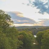 Locust Grove