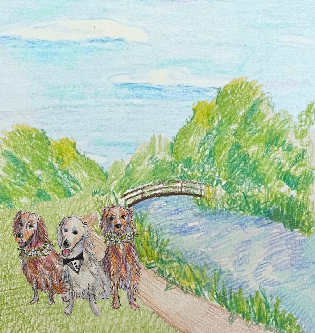 The Wedding Website of Tessa Hansen and Justin Langley