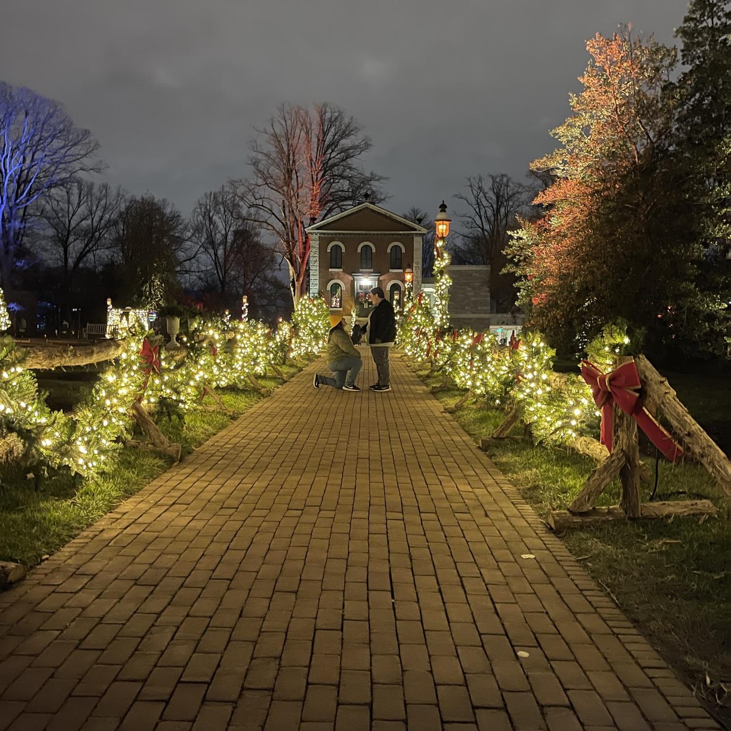 Proposing at the Missouri Botanical Garden during the Glow lights. I was so nervous! It didn't go to plan exactly, but it was perfect. We rang in the new year with happy tears! -Carissa <3