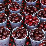 National Cherry Festival