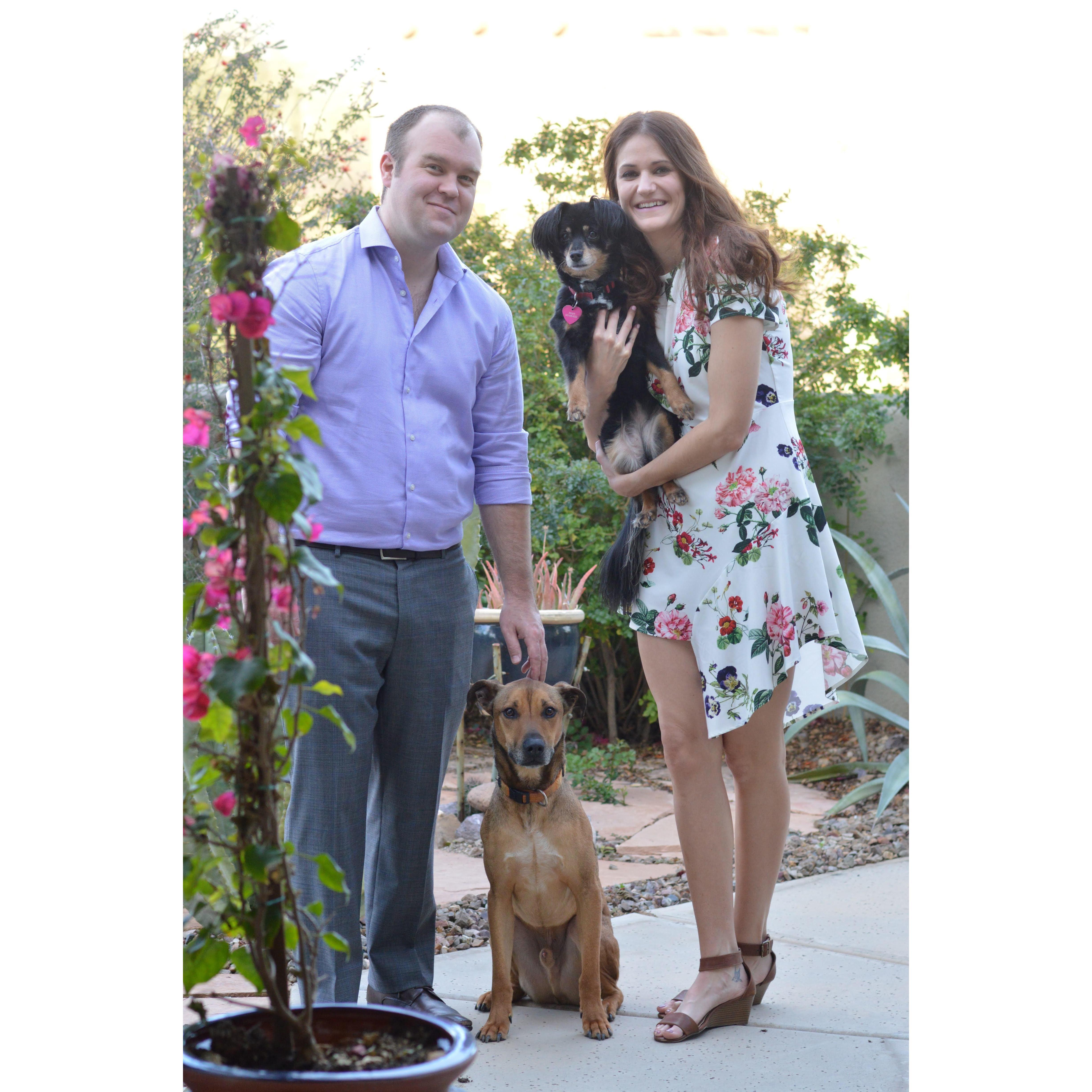 Our family, with Cocoa and Riley.