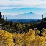 Sabino Canyon Visitor Center