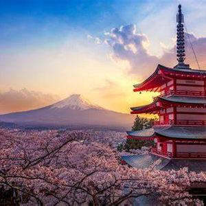 Nicole Delaurenti and Jordan Siao's Wedding Registry on Zola