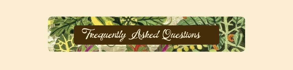 The Wedding Website of Kate Sechrist and Noam Summey