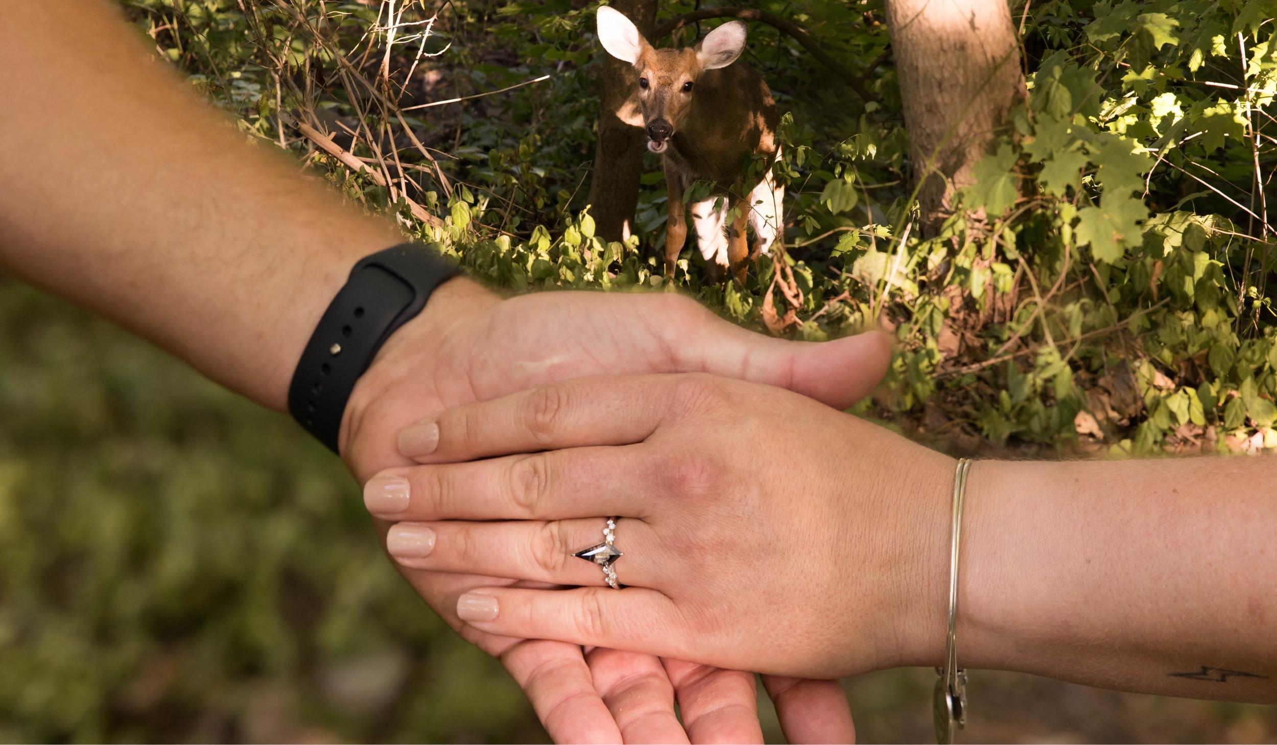 The Wedding Website of Brittany Moore and Nathan Watson