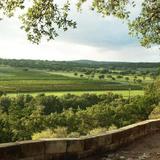 Driftwood Estate Winery