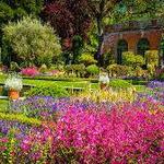 Filoli Historic House & Garden