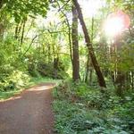 Take a walk through the largest city park... and the smallest