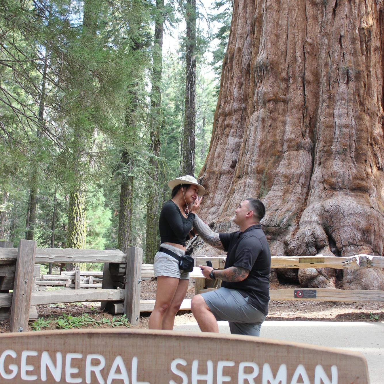 May 31, 2025- The Proposal in front of the World’s Largest Tree