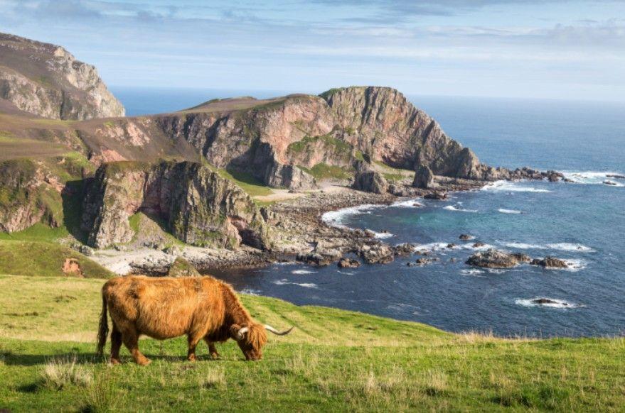 The Wedding Website of Dr. Paige Lynch and Robert Newton