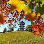 Patterson Park