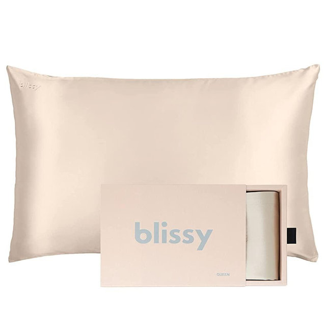 Blissy Silk Pillowcase - 100% Pure Mulberry Silk - 22 Momme 6A High-Grade Fibers - Satin Pillowcase for Hair & Skin - Regular, Queen & King Size Silk Pillow Case with Hidden Zipper - Moisture Wicking