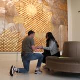 Carnegie Museum of Art