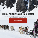 Iditarod Winning Dogsled Team Tour