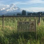 Mt View Orchards