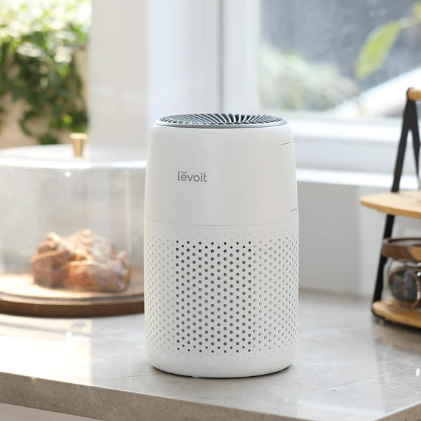 LEVOIT Air Purifiers for Bedroom Home, 3-in-1 Filter Cleaner with Fragrance Sponge for Better Sleep, Filters Smoke, Allergies, Pet Dander, Odor, Dust, Office, Desktop, Portable, Core Mini-P, White