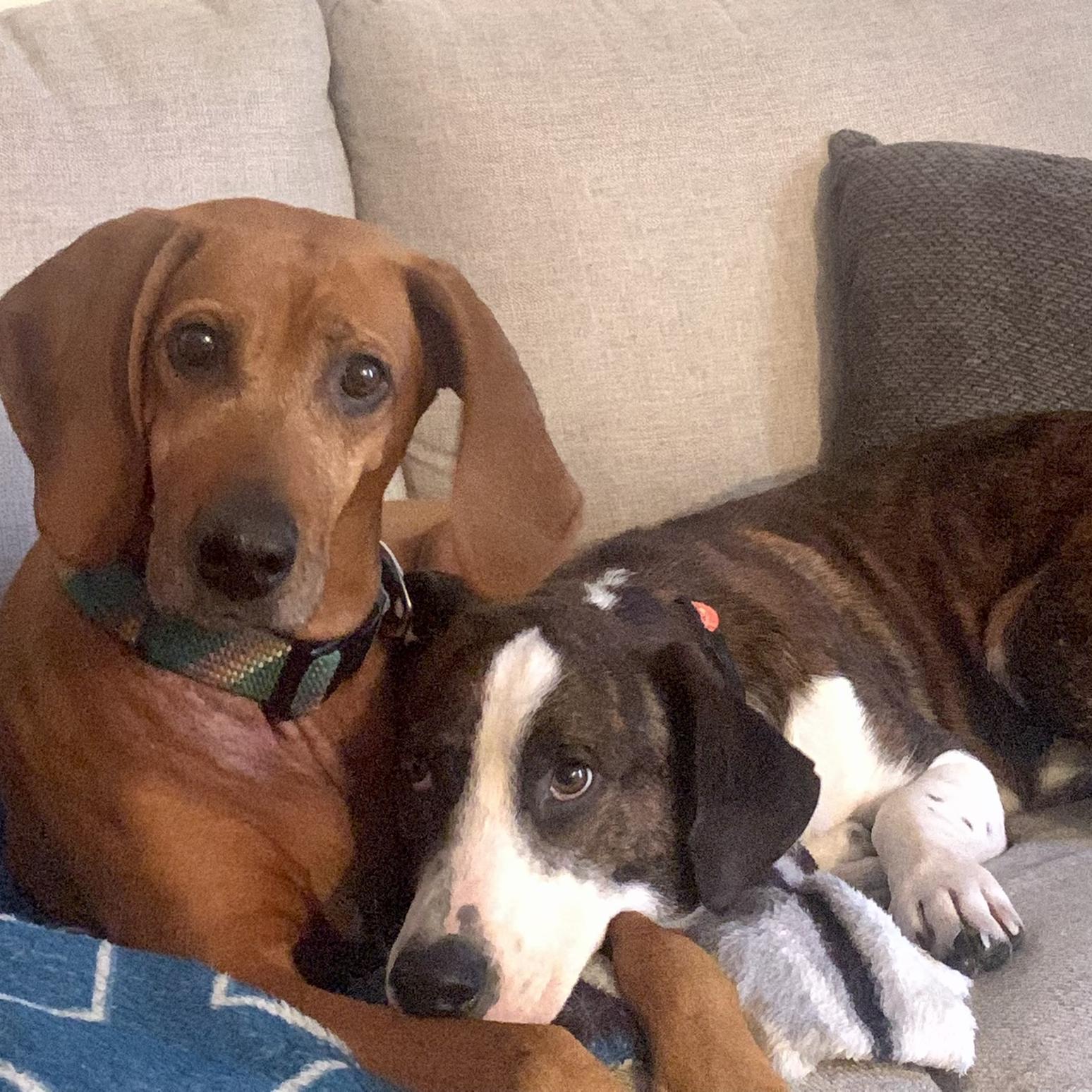 April 2023: Rita and Murphy