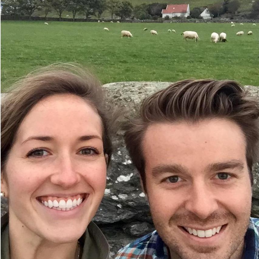 When in doubt, stop for sheep