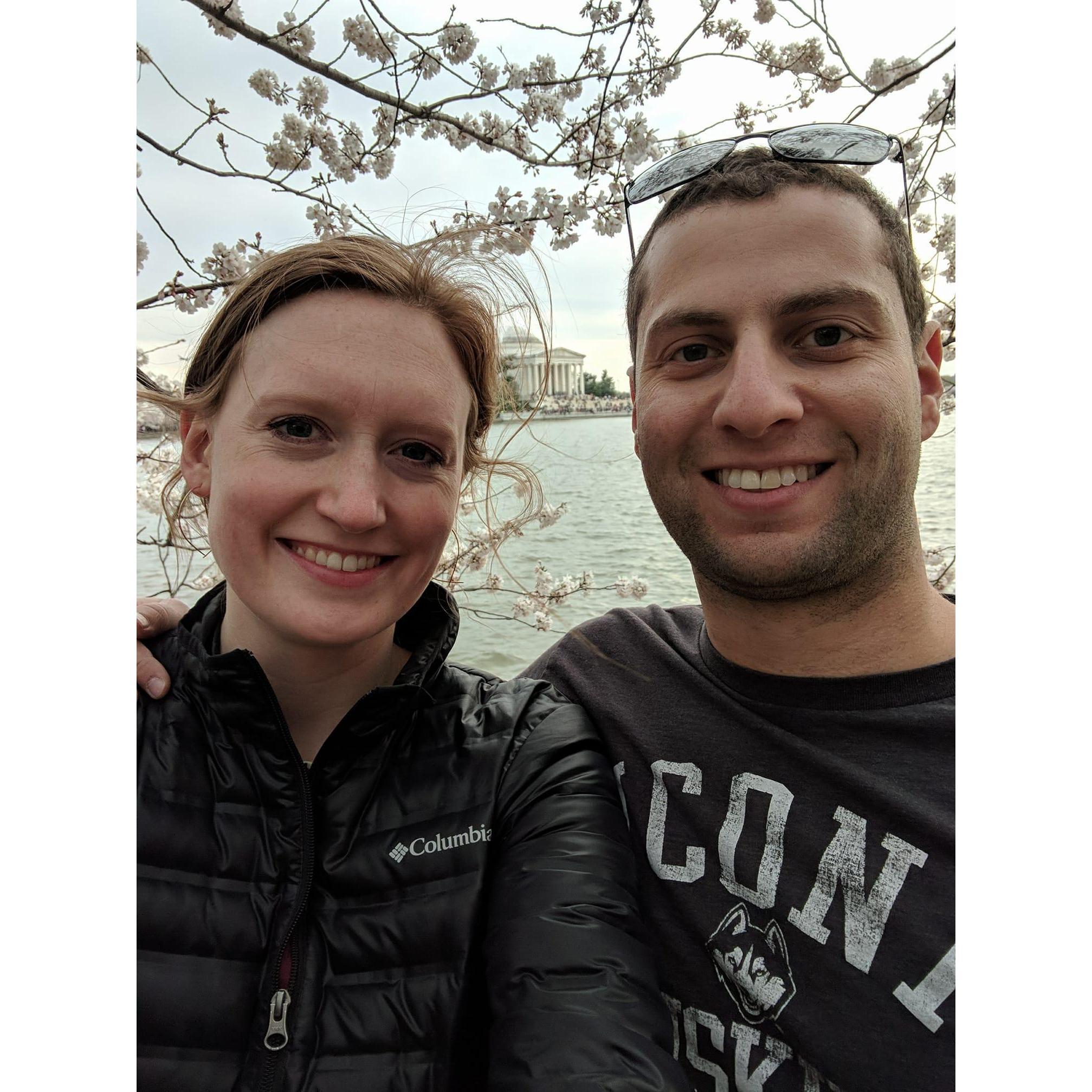 Cherry Blossoms - April 2018