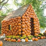 Cheekwood Estate & Botanical Gardens