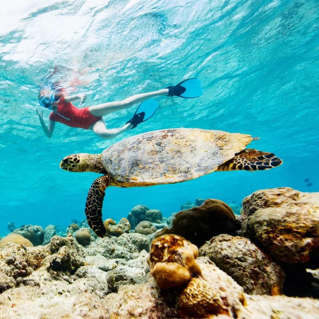 Snorkeling in Maui