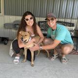 Tiny Heinies - Adopt a puppy at our wedding!