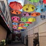 Umbrella Alley