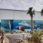 Institute For Marine Mammal Studies