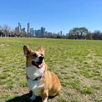 Zilker Metropolitan Park