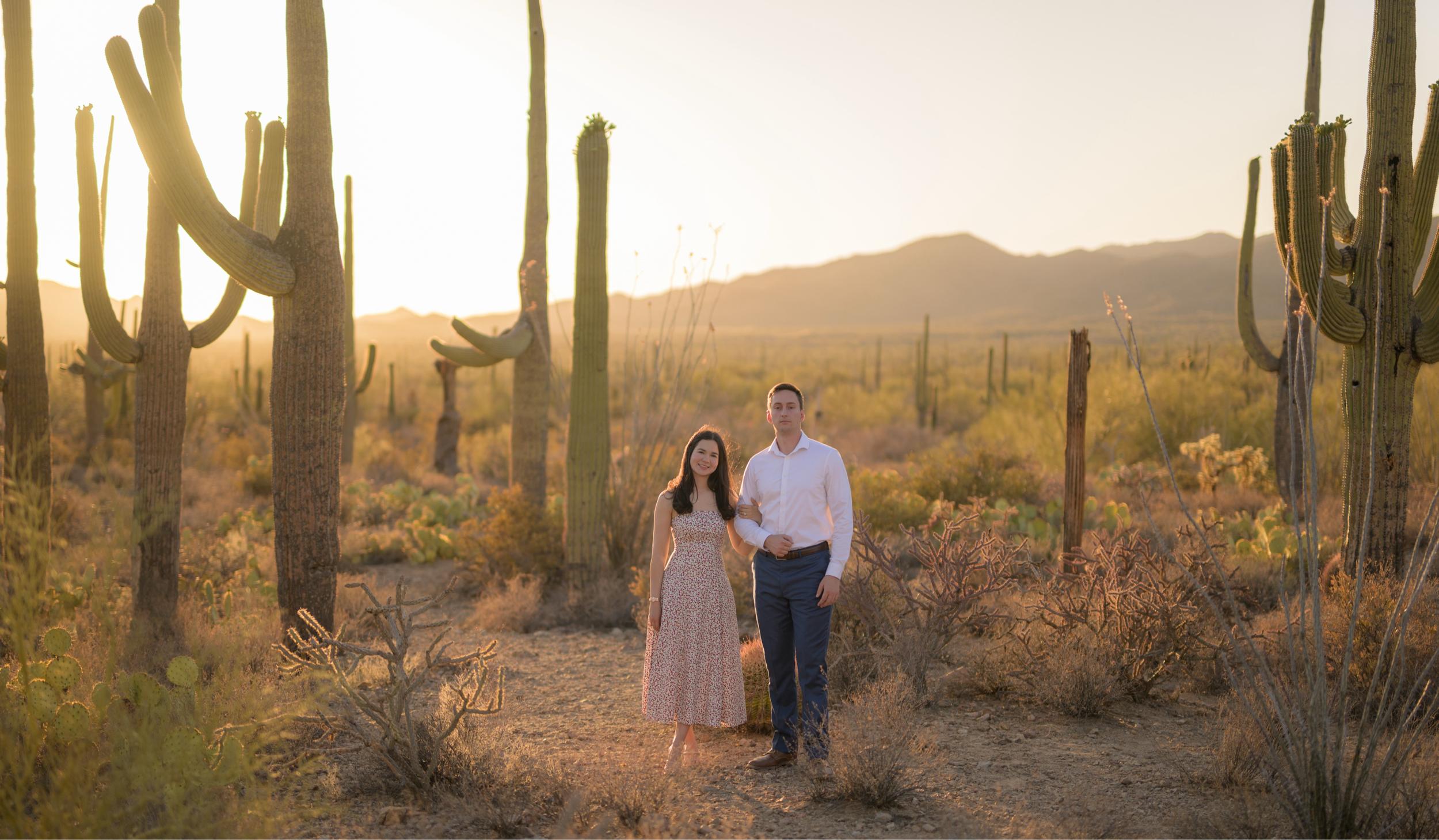 Hero Slideshow Image 5