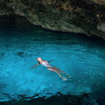 Cenote & Dophin Interaction
