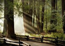Muir Woods Visitor Center