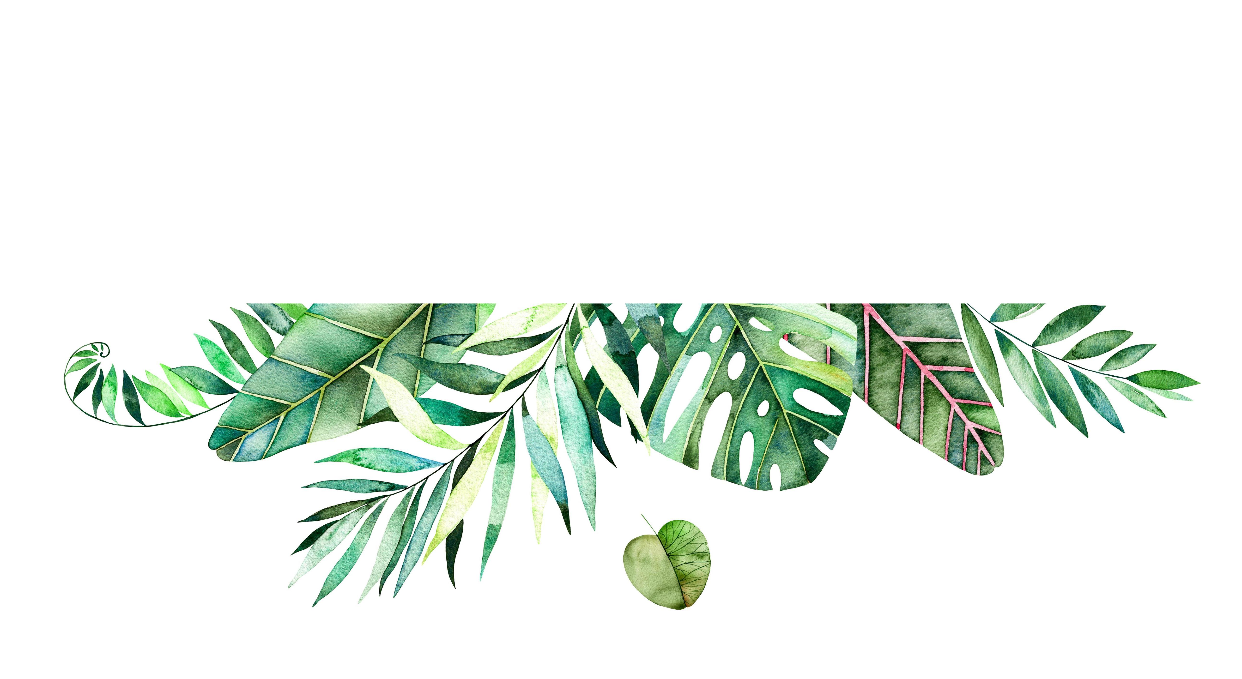 Footer image