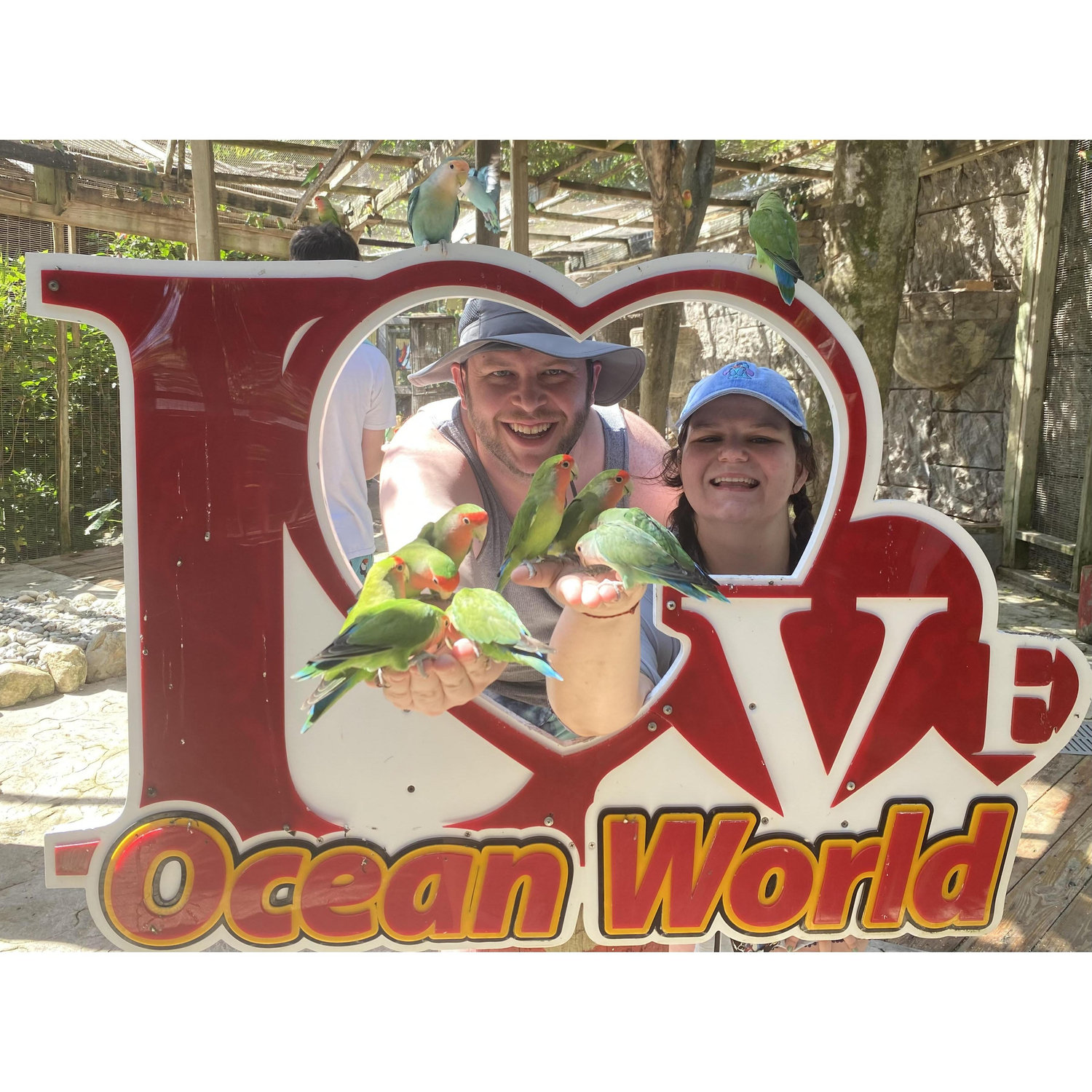 cruise stop at Puerto Plata